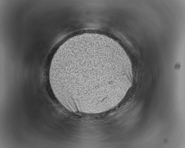 X0000102831208200809151031