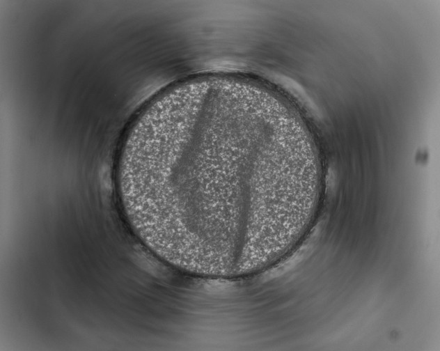 X0000102831209200809151031