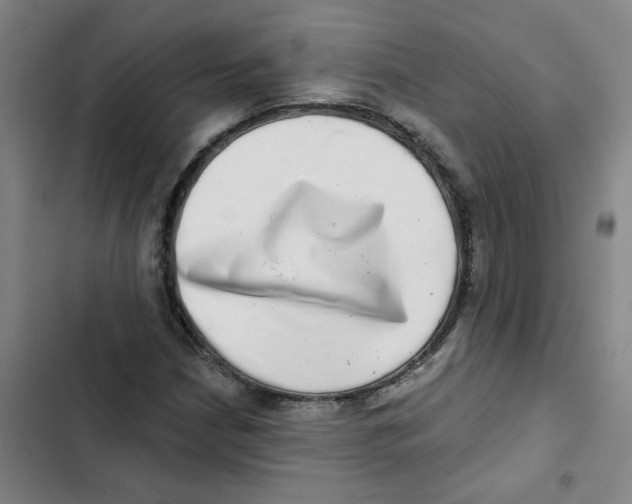X0000102831210200809151031