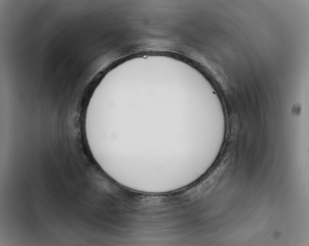 X0000102831211200809151031