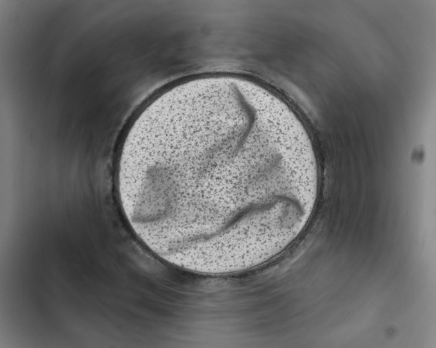 X0000102831212200809151031