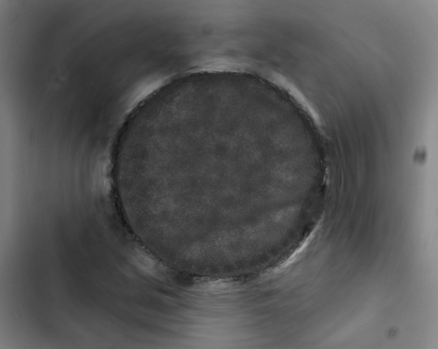 X0000102831213200809151031
