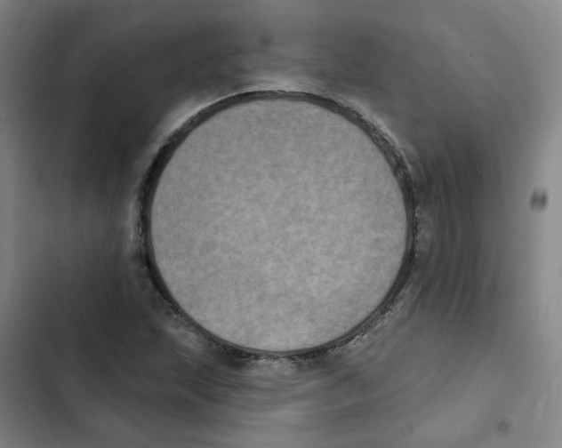 X0000102831215200809151031