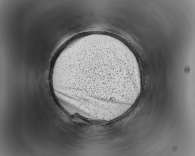 X0000102831216200809151031