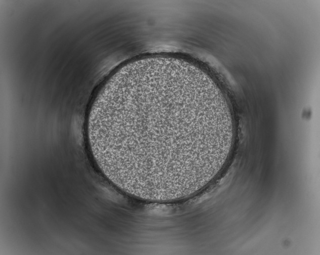 X0000102831217200809151031