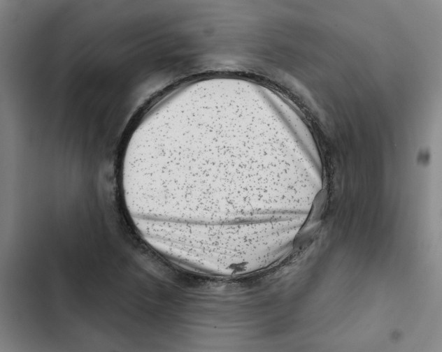 X0000102831218200809151031
