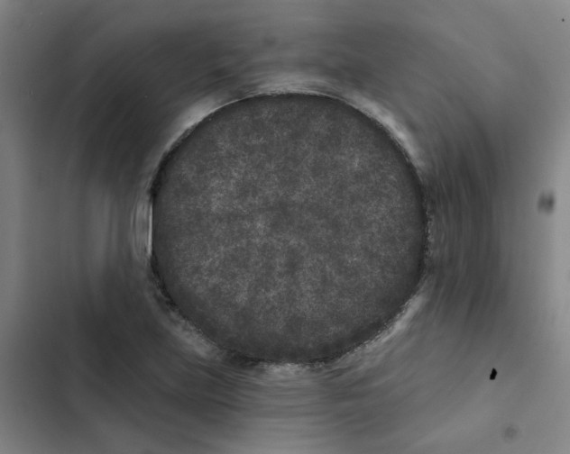 X0000102831219200809151031