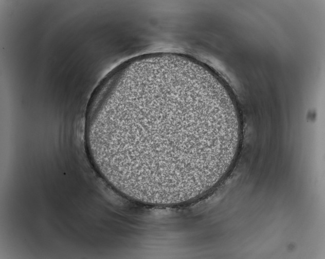 X0000102831220200809151031