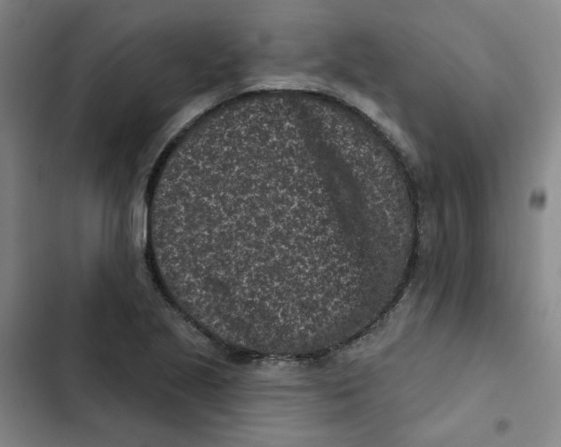 X0000102831221200809151031