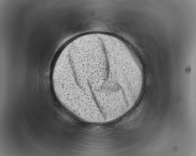 X0000102831222200809151031