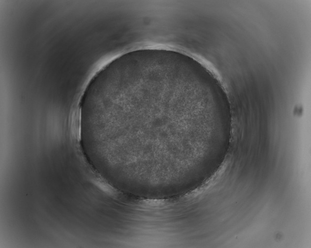 X0000102831223200809151031