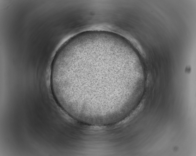 X0000102831224200809151031