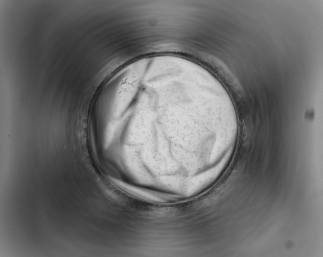 X0000102831225200809151032