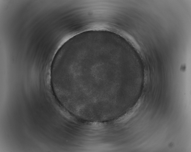X0000102831226200809151032