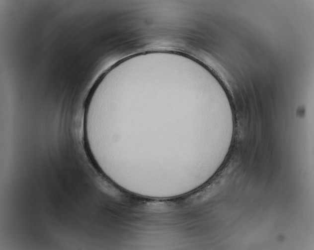 X0000102831227200809151032
