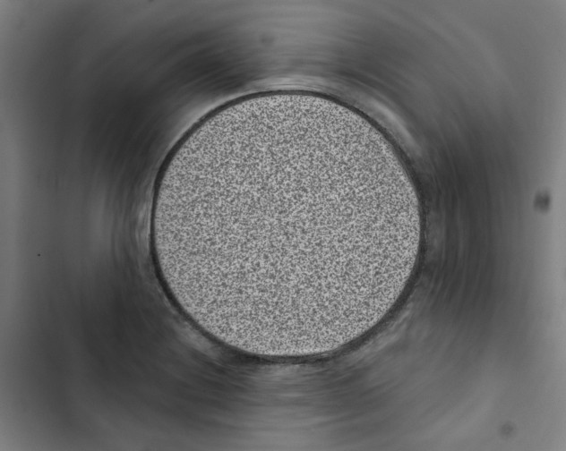 X0000102831228200809151032