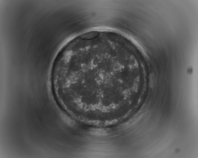 X0000102831229200809151032