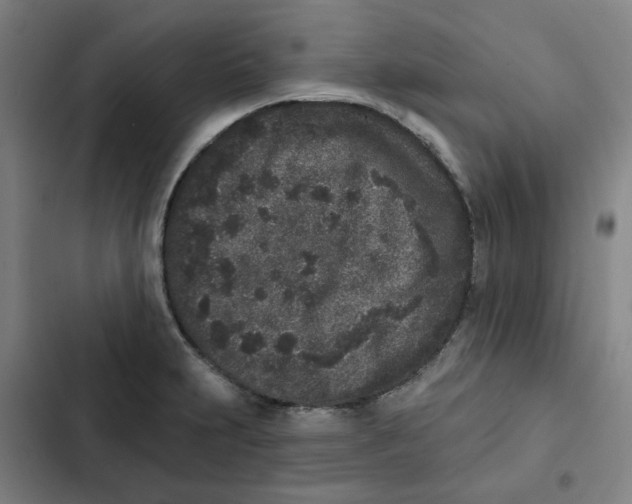 X0000102831231200809151032
