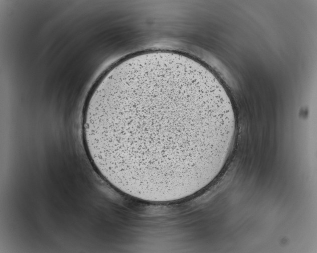 X0000102831232200809151032