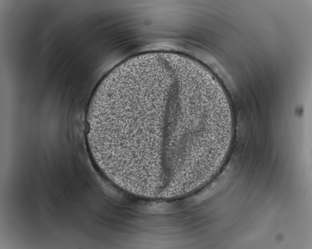 X0000102831233200809151032