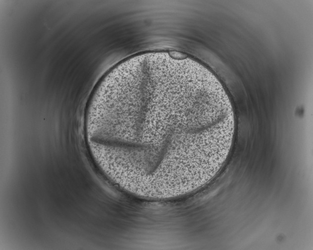 X0000102831234200809151032