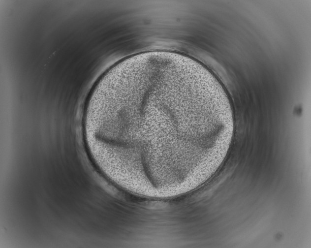 X0000102831235200809151032