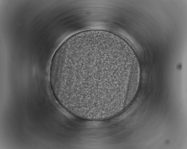 X0000102831236200809151032