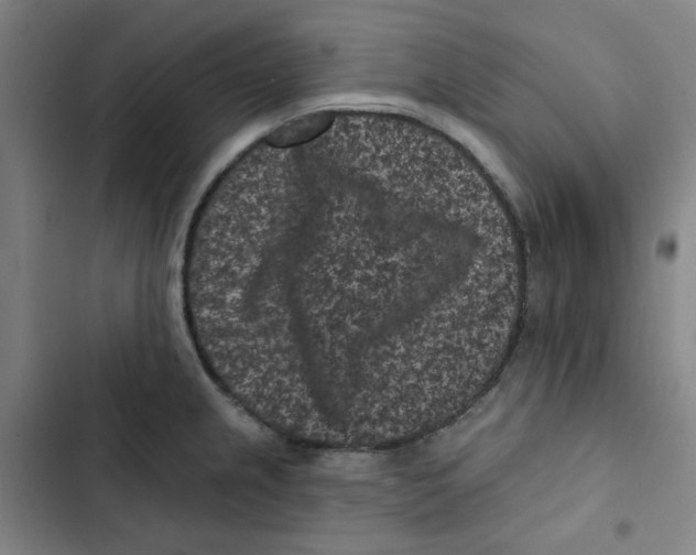 X0000102831237200809151032