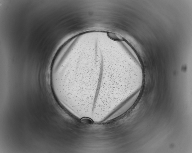 X0000102831238200809151032
