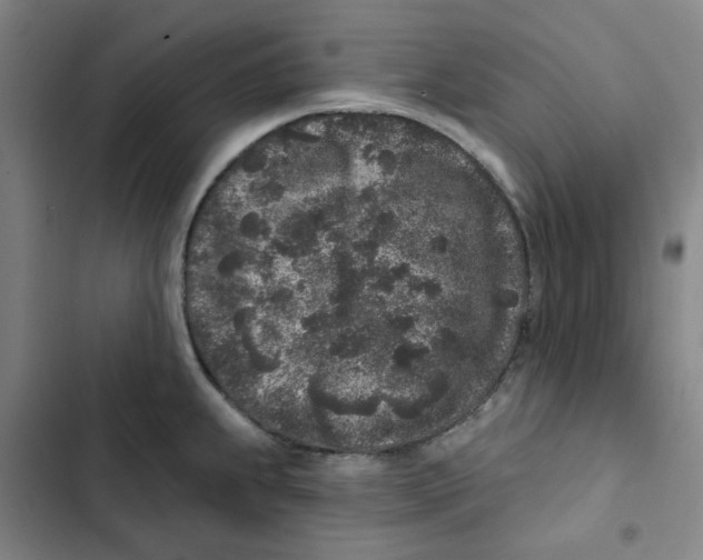 X0000102831239200809151032
