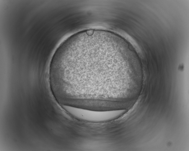 X0000102831240200809151032