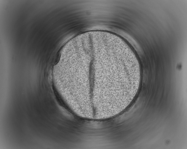 X0000102831241200809151032