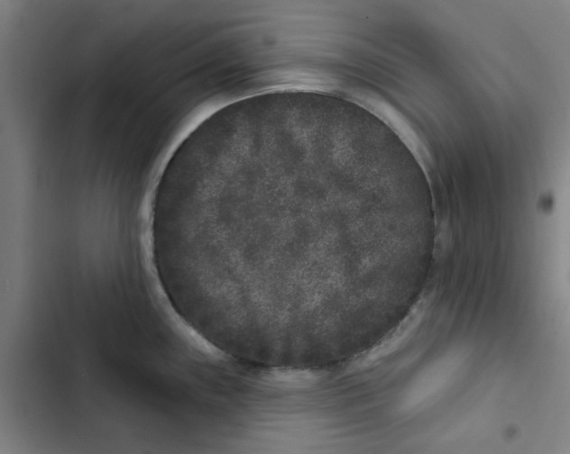 X0000102831243200809151032