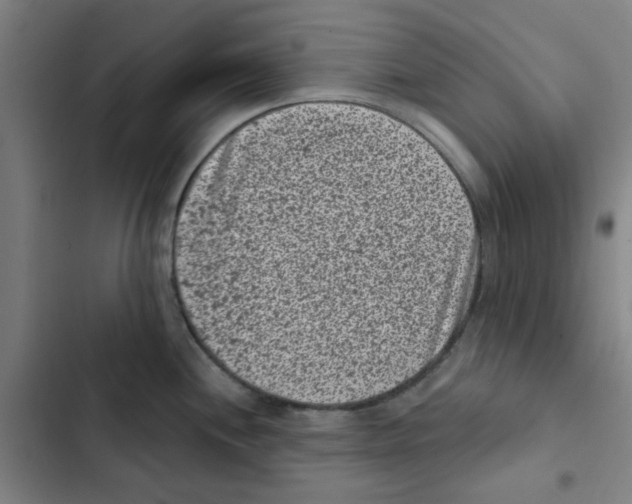 X0000102831244200809151032