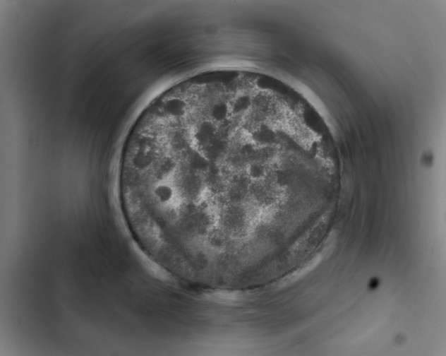 X0000102831245200809151032