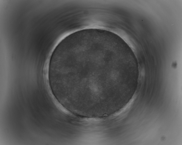 X0000102831246200809151032