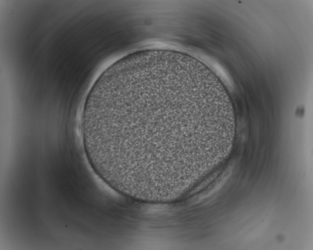 X0000102831247200809151032