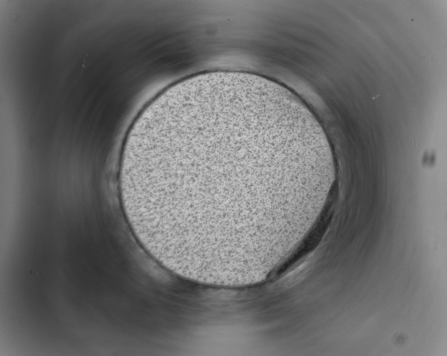 X0000102831248200809151032