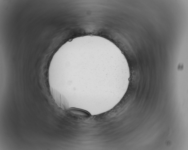 X0000102831249200809151031