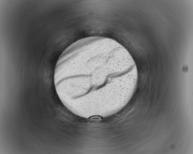 X0000102831250200809151031