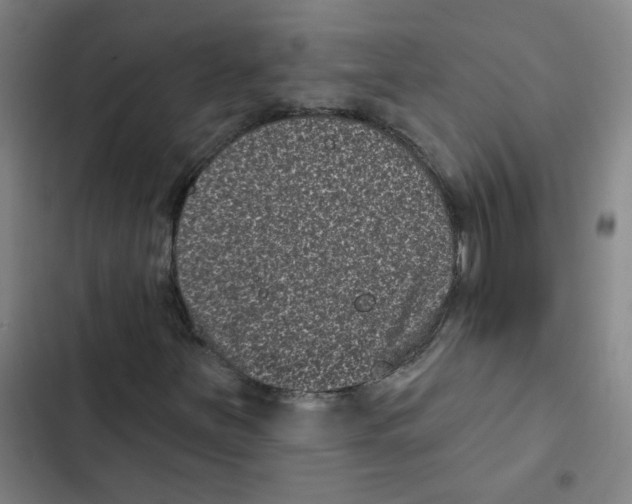 X0000102831251200809151031