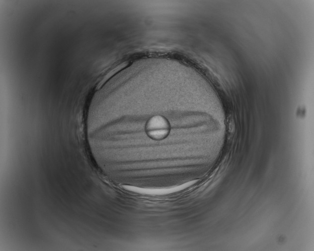 X0000102831252200809151031