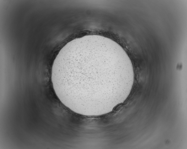 X0000102831253200809151031