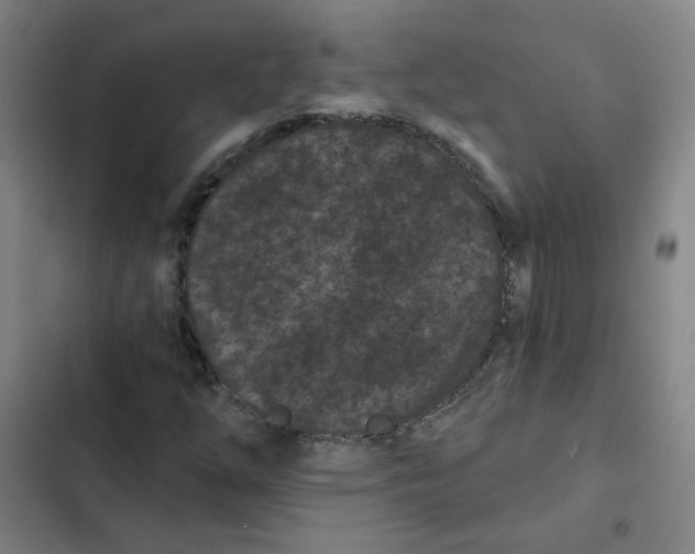 X0000102831254200809151031