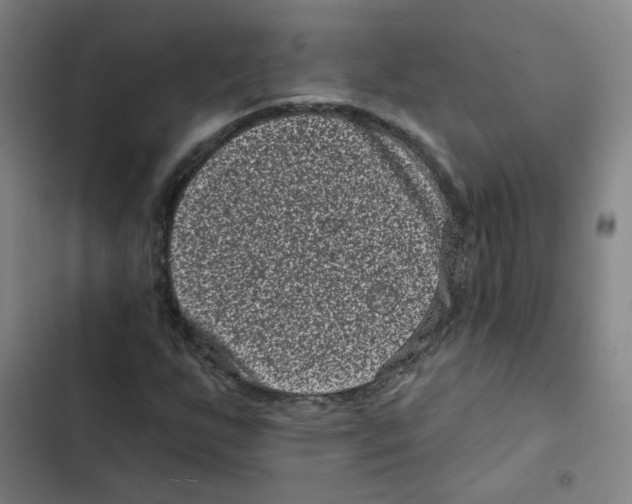 X0000102831255200809151031