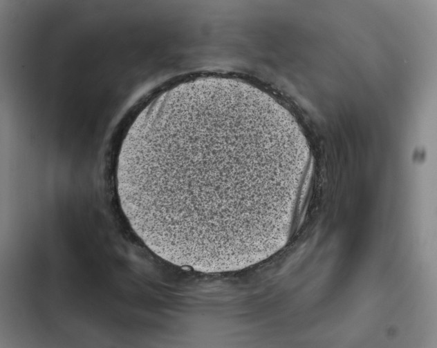 X0000102831256200809151031