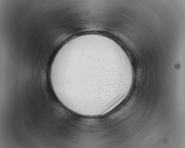X0000102831257200809151031