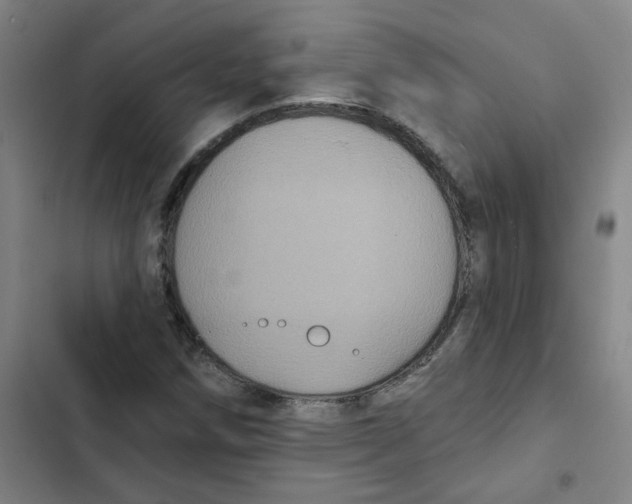 X0000102831258200809151031
