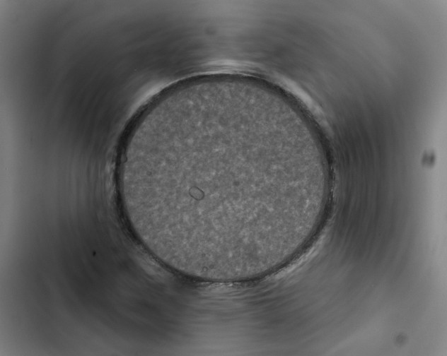X0000102831259200809151031