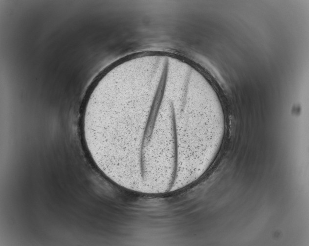 X0000102831260200809151031
